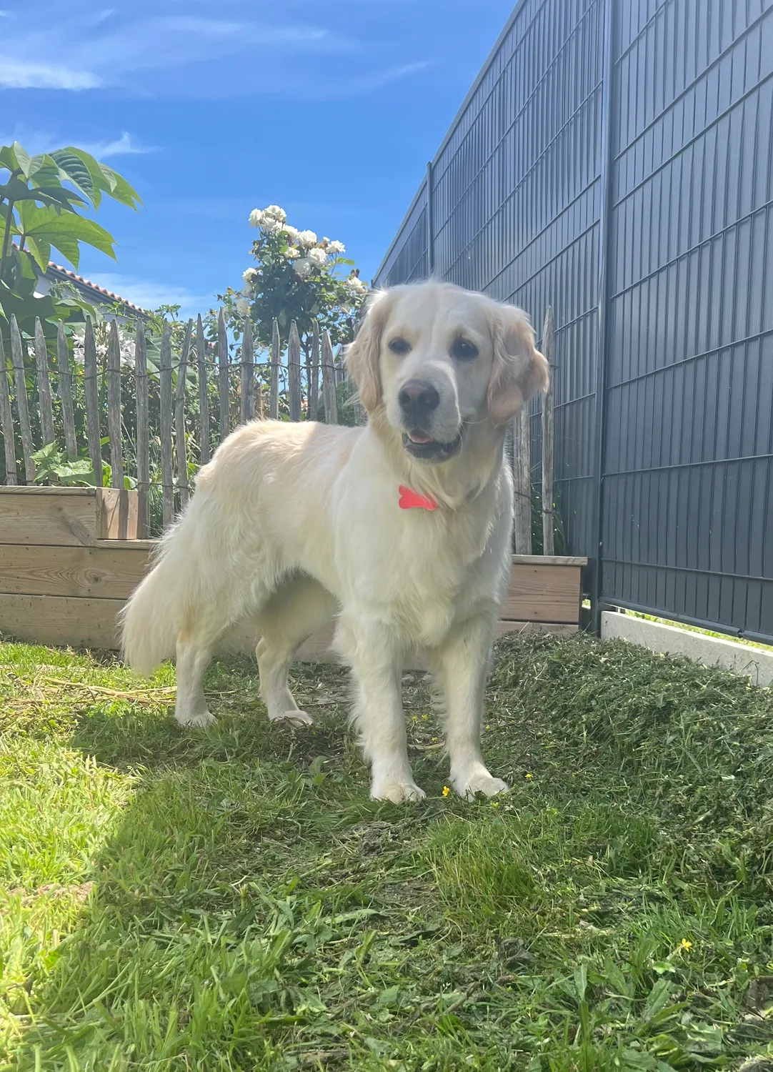 amenagement exterieur saint gilles croix de vie