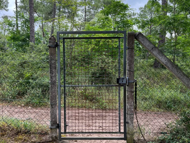 before-image